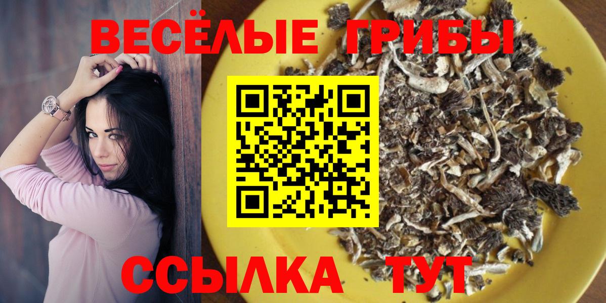 Михайловка  Галлюциногенные грибы мухоморы  Вход с VPN  Псилоцибиновые грибы Magic Shrooms 