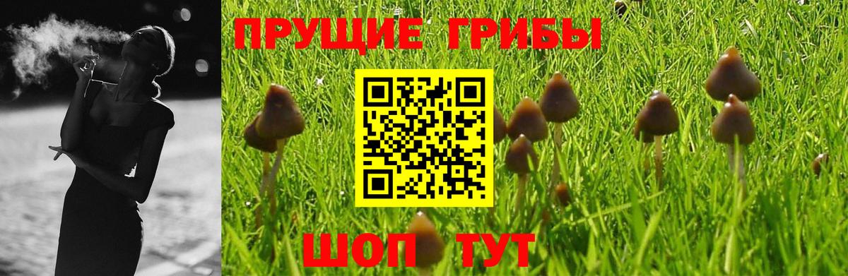МАРИХУАНА  Михайловка  MDMA  ГАШ  Мефедрон кристаллы  Вход с VPN  NBOMe 