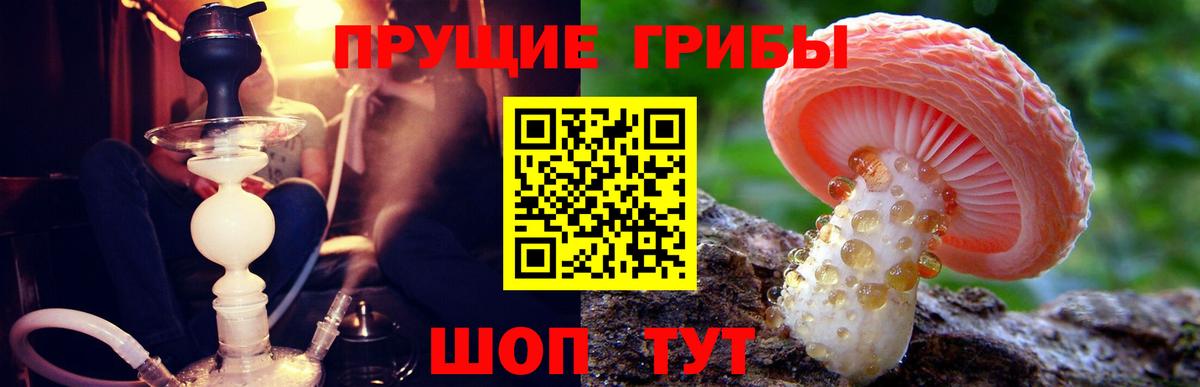 Галлюциногенные грибы Magic Shrooms Михайловка